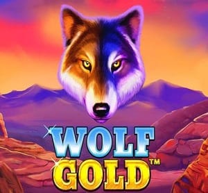 Wolf Gold
