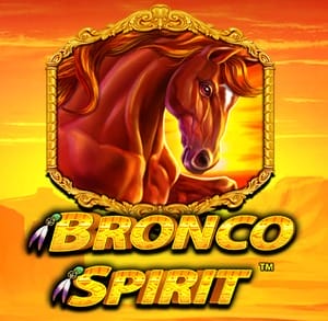 Bronco Spirit