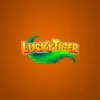 Lucky Tiger Casino Review – April 2025
