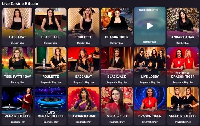 rocketpot casino live casino image