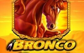 Bronco Spirit