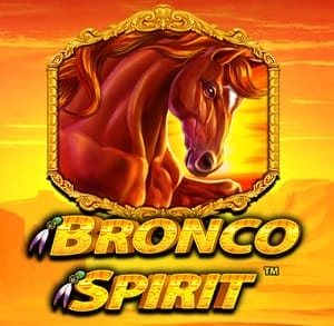 Bronco Spirit