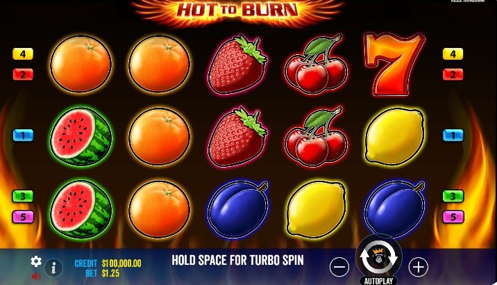 Hot To Burn Game Ss1