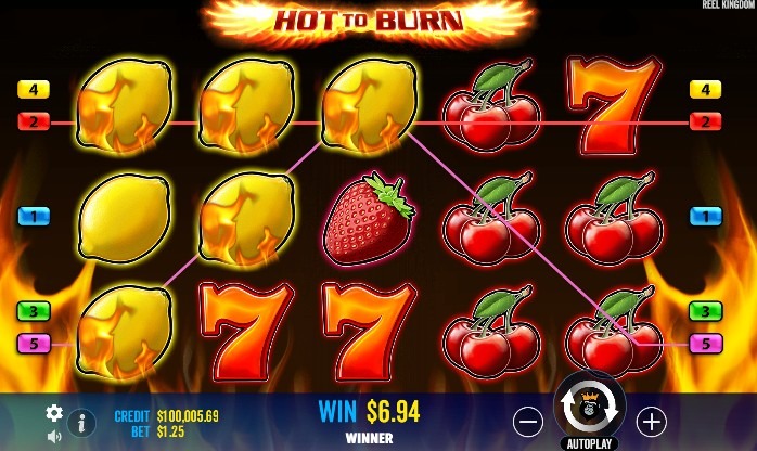 Hot To Burn Game Ss3