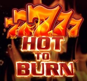 Hot to Burn Game