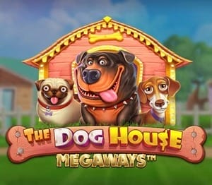 The Dog House Megaways™