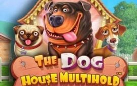 the dog house multihold slot by pragmatic play logo