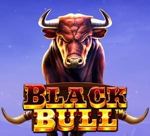 Black Bull