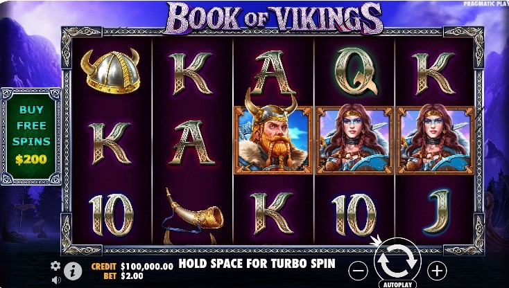 Book Of Vikings Ss2