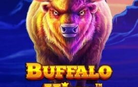 Buffalo King