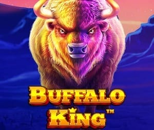Buffalo King