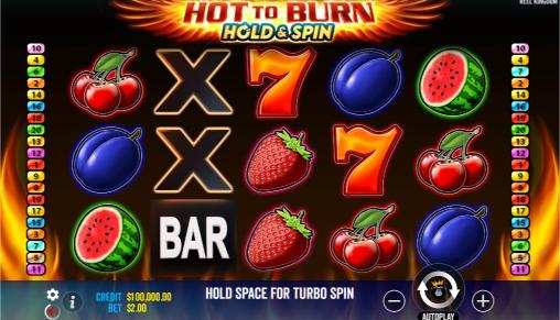 Hot To Burn Spin Game