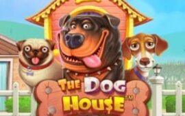 The Dog House