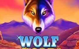 Wolf Gold