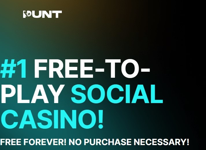 Punt Casino Homepage