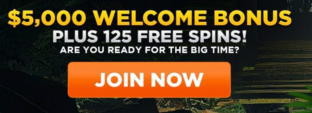 Best How to Navigate Crypto Casino Regulations Android/iPhone Apps