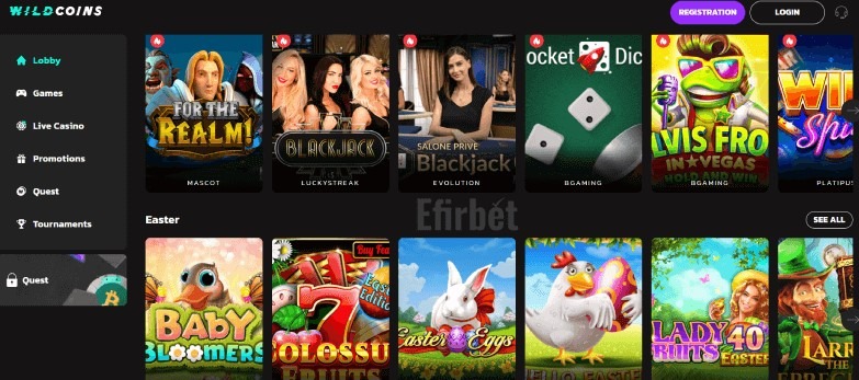 Wildcoins Casino Home Image