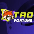 Tao Fortune Casino Review 2025