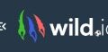 Wild.io Casino