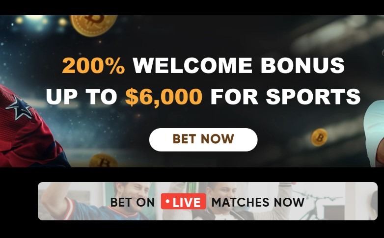 Betwhale Casino Homepage