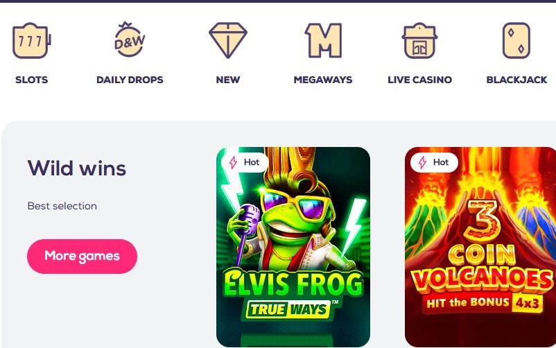 Wild Fortune Casino Games