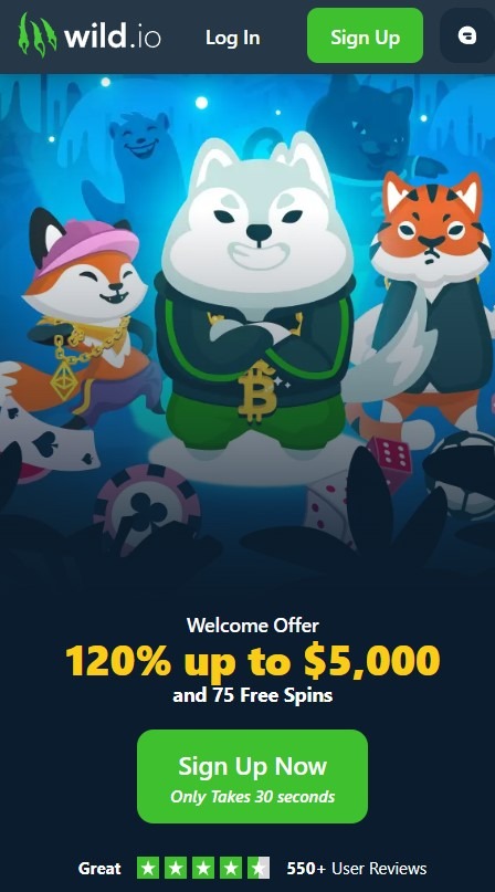 Wild Io Casino Homepage Mobile