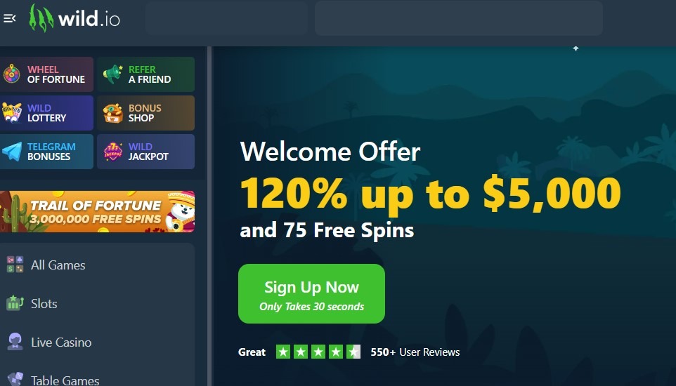 Wild Io Casino Homepage