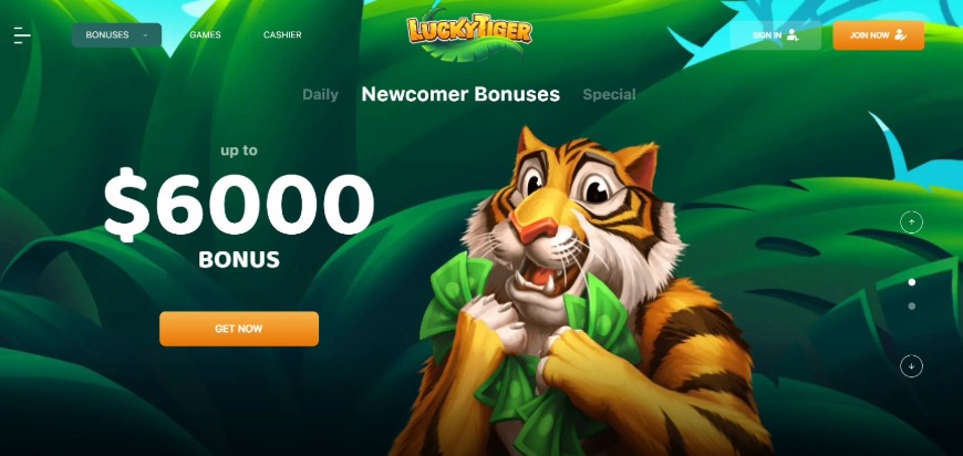 Luckytiger Casino Newcomer Bonus Image