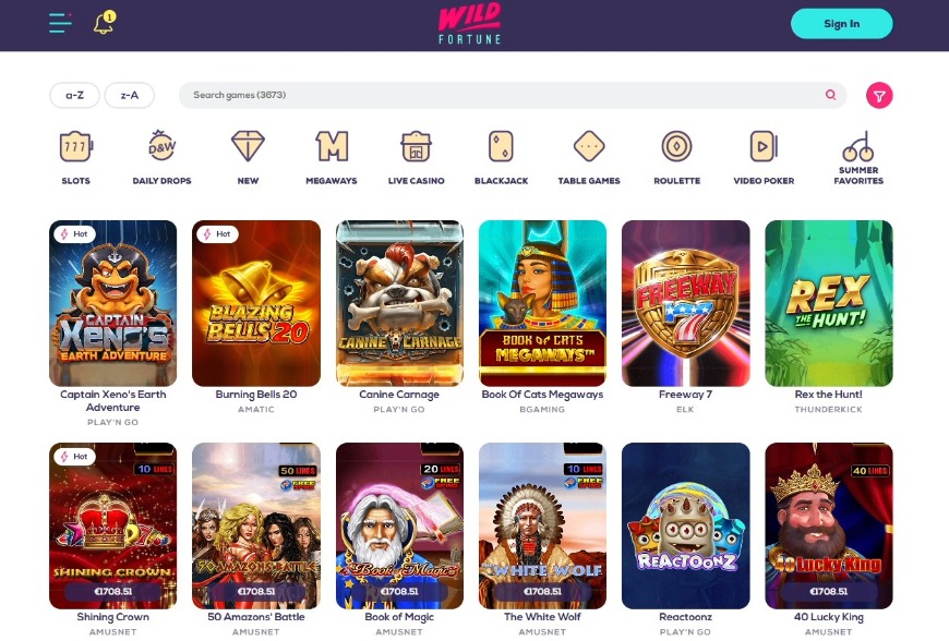Wild Fortune Casino Games Image