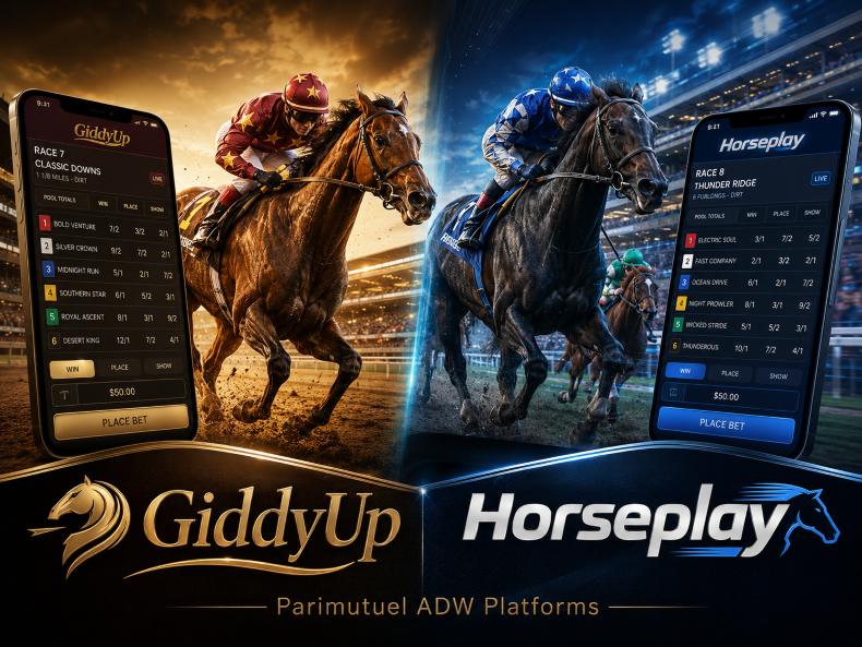 Giddyup And Horseplay State